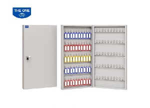 Tủ treo chìa khóa Hòa Phát mã TK100